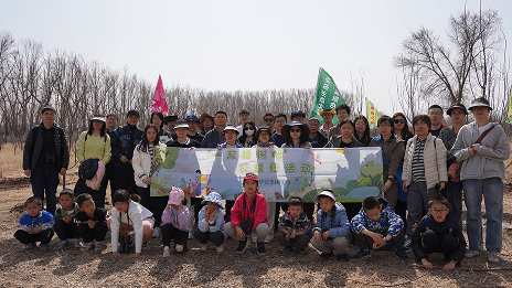 植树公益活动